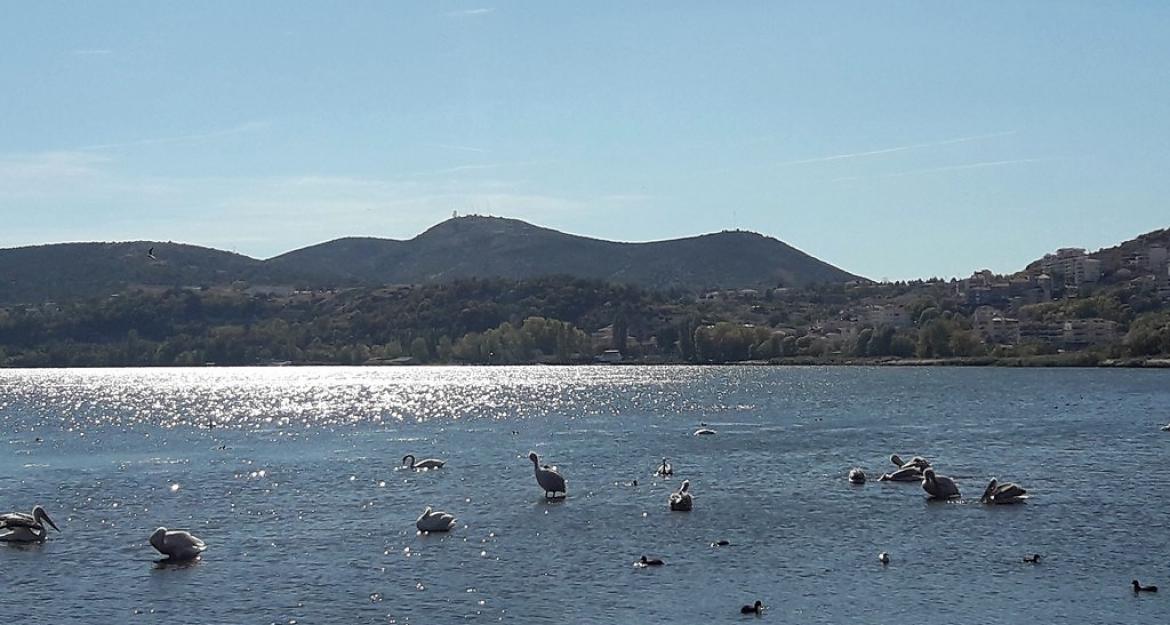 «Στέγνωσε» η λίμνη της Καστοριάς (pics)