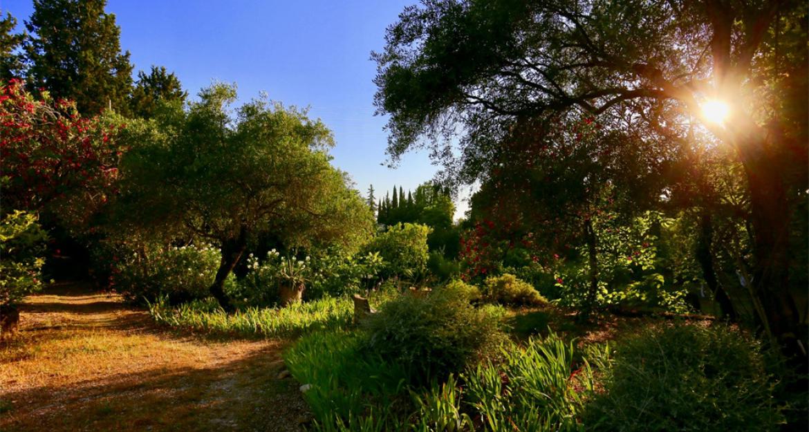 O μυστικός κήπος στην Κέρκυρα που κοστίζει 4,3 εκατ. ευρώ (pics)