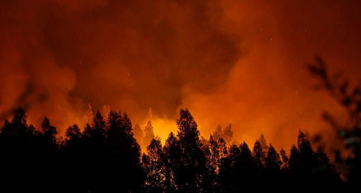 Πορτογαλία: 43 οι νεκροί από τις πυρκαγιές (pics)
