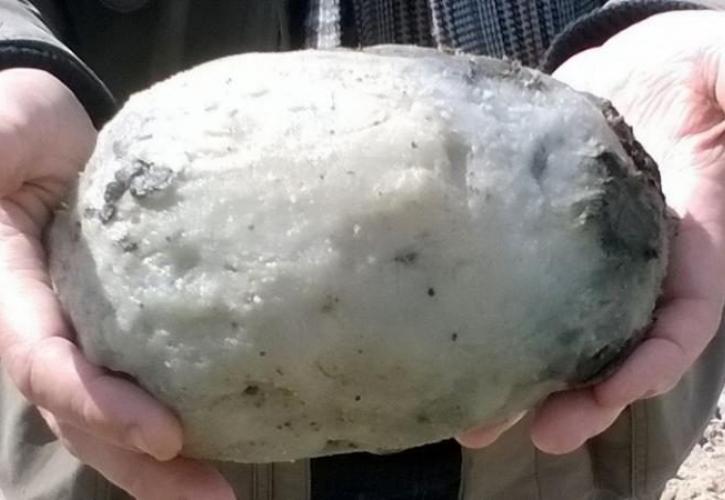 Βρήκαν πέτρωμα από «εμετό φάλαινας» αξίας 60.000 ευρώ!