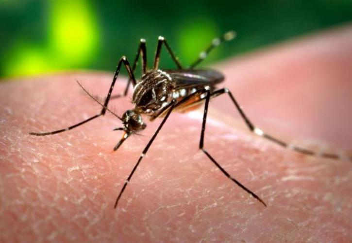 Σιγκαπούρη: Επιβεβαιώθηκαν 41 κρούσματα του ιού Ζίκα