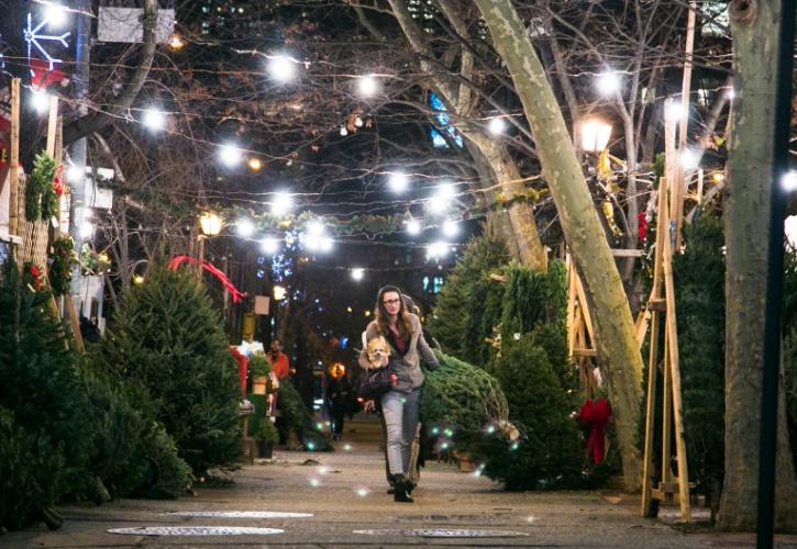 Χριστουγεννιάτικα δέντρα 1.000 δολαρίων στη Νέα Υόρκη!