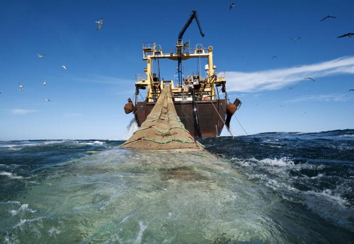 Η ΕΕ δεσμεύεται να «σώσει» τα αποθέματα αλιευμάτων στη Μεσόγειο