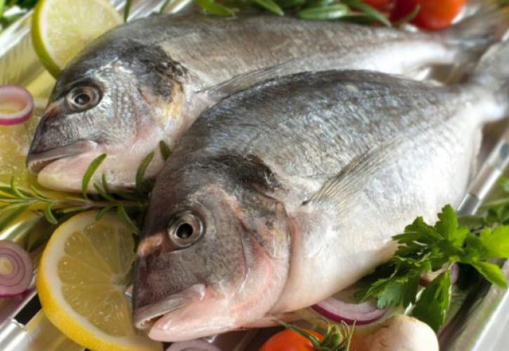Τα περισσότερα ψάρια που καταναλώνουμε είναι ελληνικά