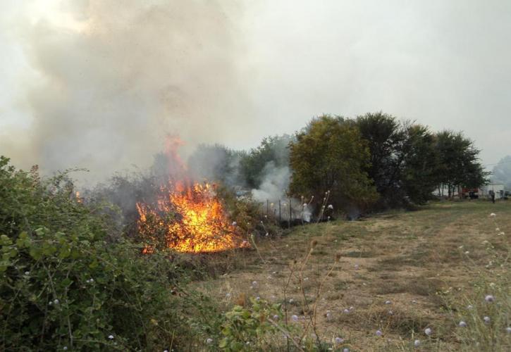 Πάτρα: Φωτιά στην περιοχή Πούντα Αιγιαλείας
