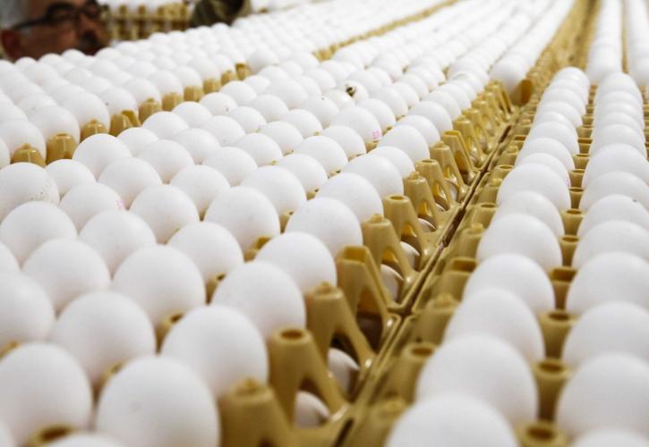 Ισπανία: Εντοπίστηκε παρτίδα μολυσμένων αυγών