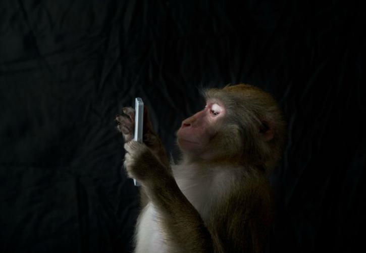 Το App Store γεμίζει με εφαρμογές-μαϊμούδες