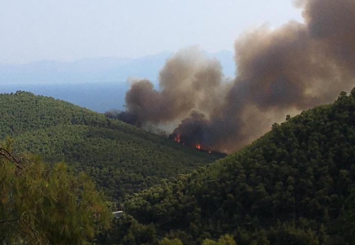 Μεγάλη πυρκαγιά στη Σκόπελο