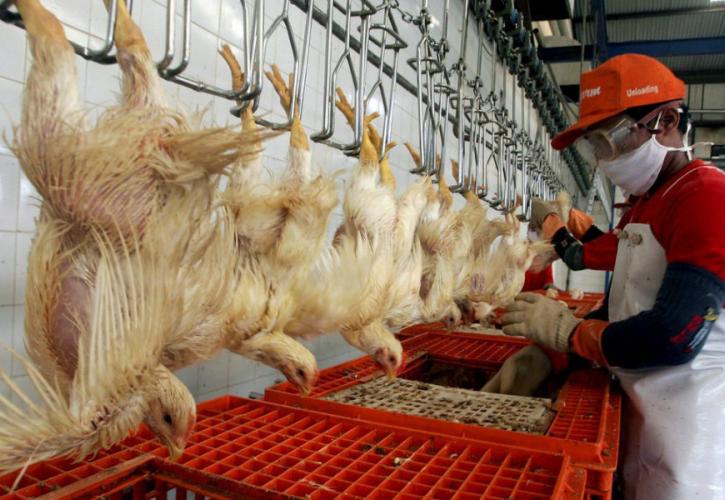 Πτηνοτροφικός Συνεταιρισμός Άρτας: Εν αναμονή απόφασης για ρύθμιση χρεών