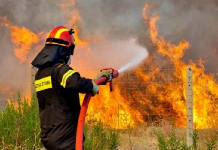 Ηράκλειο: Πυρκαγιά σε περιοχή της Γαλιάς Μεσαράς