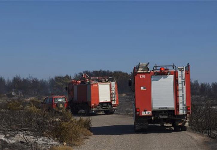 Πυρκαγιά στον δήμο Αρχανών του Ηρακλείου