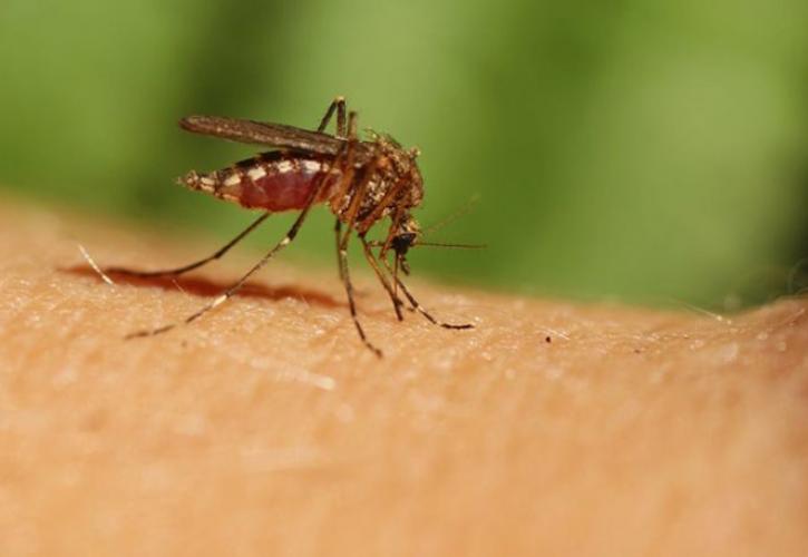 Νέο κρούσμα ιού δυτικού Νείλου - Στη ΜΕΘ γυναίκα στη Λάρισα