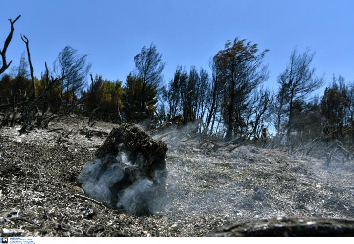 Σε ύφεση οι φωτιές στο Λασίθι - Υπό μερικό έλεγχο η πυρκαγιά στο Ρεθύμνου