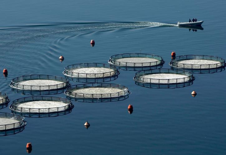 Ευρωπαϊκό πακέτο 523,4 εκατ. για αλιεία και υδατοκαλλιέργειες
