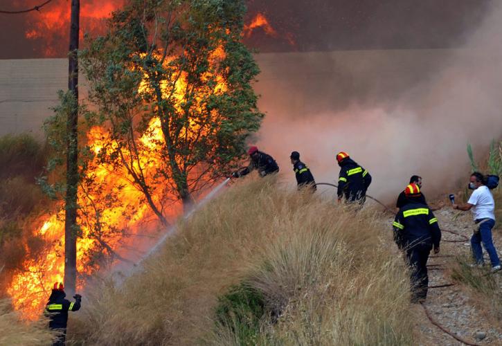 Λάρισα: Υπό έλεγχο τέθηκε η πυρκαγιά στην Αγιά