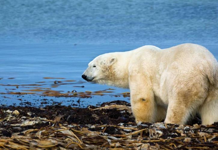 Κλίμα: Οι επιστήμονες προειδοποιούν για δυσάρεστες εκπλήξεις