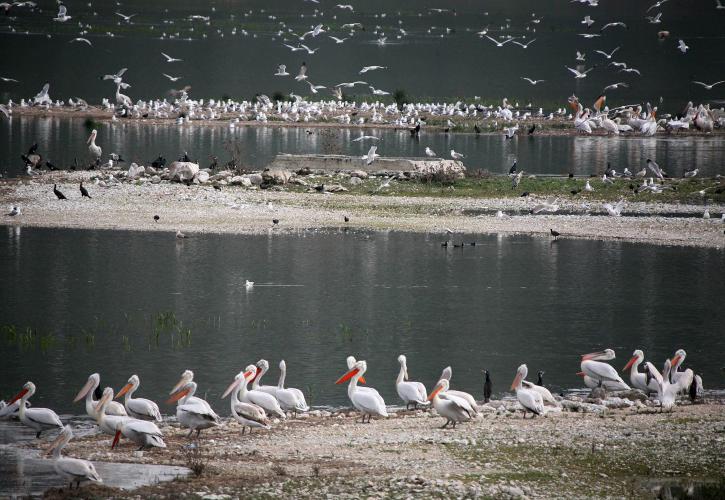 Για την επανασύσταση της λίμνης Κάρλα βραβεύεται η Περιφέρεια Θεσσαλίας