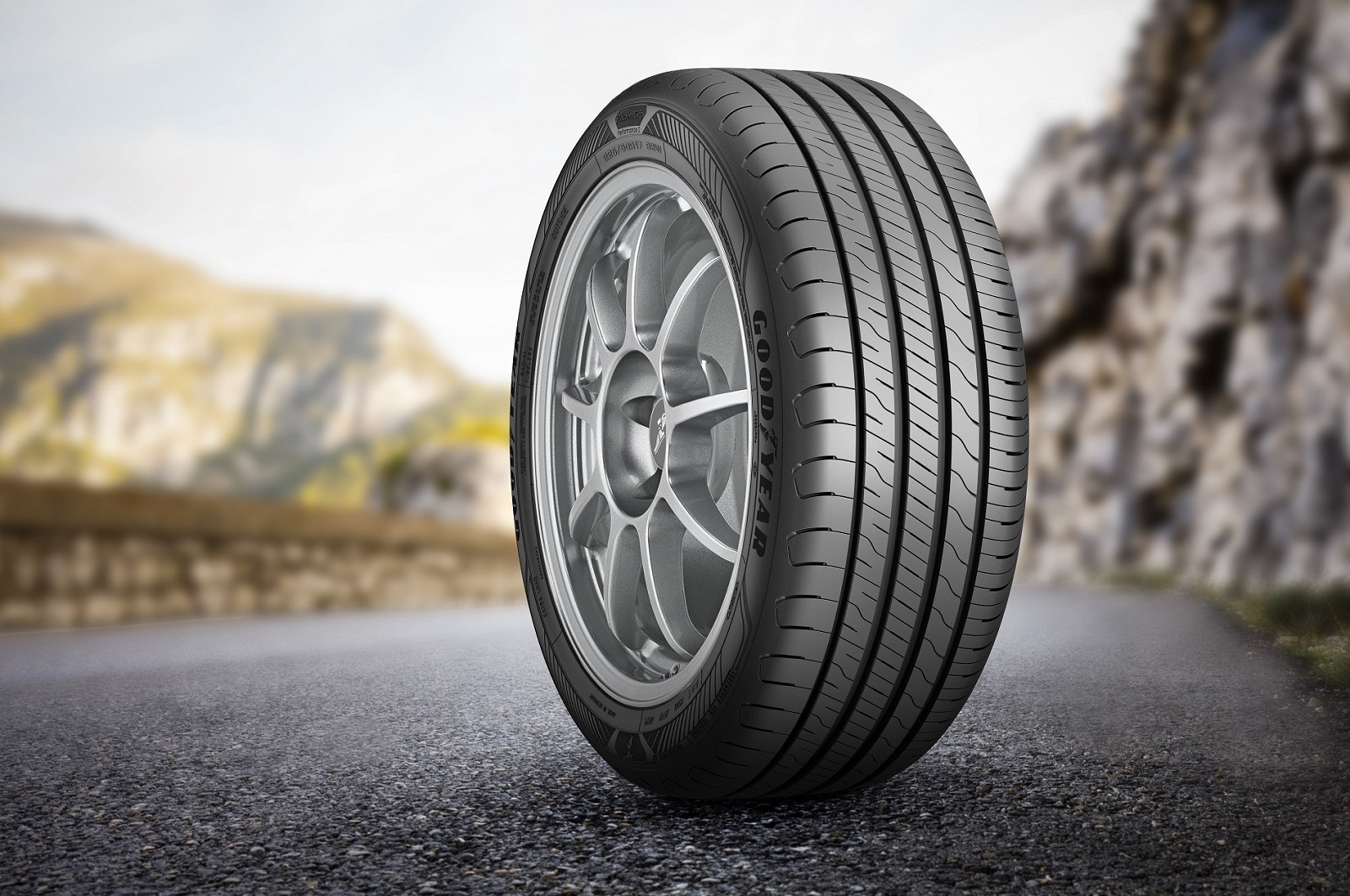 Goodyear EfficientGrip Performance 2 