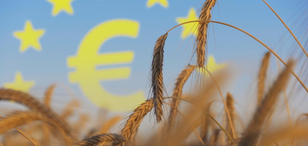 ΟΠΕΚΕΠΕ: Τρεις στην φυλακή μετά την ολοκλήρωση των απολογιών κατηγορουμένων από Κοζάνη και Αγρίνιο