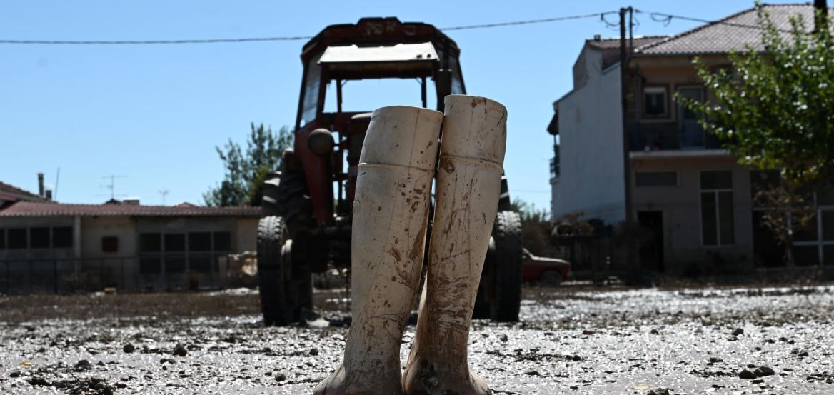 ΕΛΓΑ: Ξεκίνησαν οι καταγραφές ζημιών από τις χαλαζοπτώσεις - Τροπολογία για 100% αποζημιώσεις