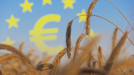 ΟΠΕΚΕΠΕ: Το νέο πρόστιμο και το ισόποσο του 2009 – Αγωνία για τον νέο έλεγχο της ΕΕ