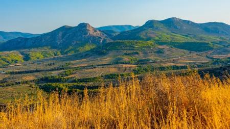 Κλιματική αβεβαιότητα και ΕΛΓΑ: Όταν ο παγετός του Απριλίου «παγώνει» την οικονομία της υπαίθρου