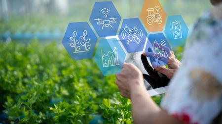Τι μπορεί να προσφέρει το AI στον αγροτικό τομέα;