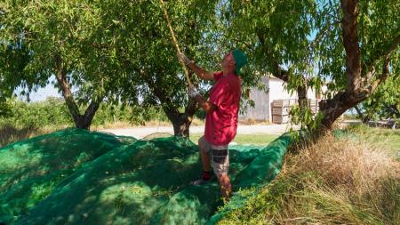 Έχουμε έλλειψη εργατών στη γεωργία ή ανυπαρξία επενδύσεων;
