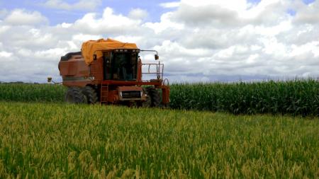 Δομικές προκλήσεις και προοπτικές της ελληνικής γεωργίας: Ένας κλάδος σε… σταυροδρόμι