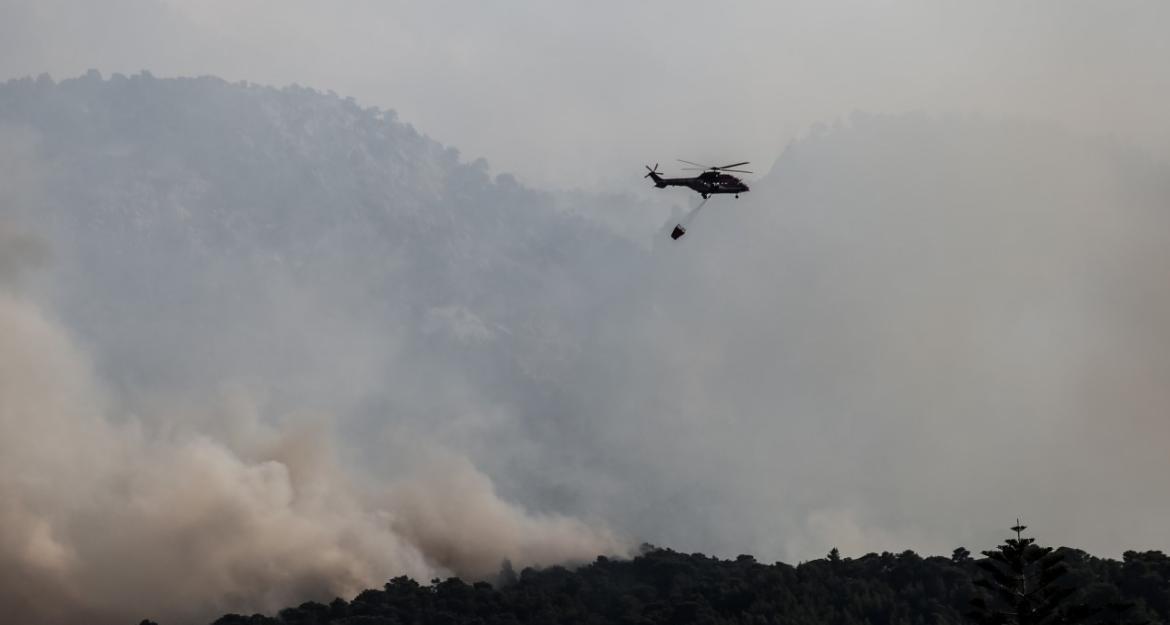 Πυρκαγιά στο Σχίνο: Σε πλήρη εξέλιξη με πολλές εστίες - Προβλέπεται δύσκολη νύχτα με ισχυρούς ανέμους (pics)