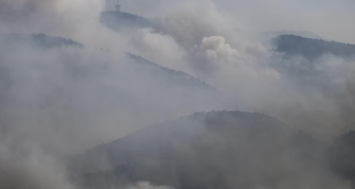 Πυρκαγιά στο Σχίνο: Σε πλήρη εξέλιξη με πολλές εστίες - Προβλέπεται δύσκολη νύχτα με ισχυρούς ανέμους (pics)