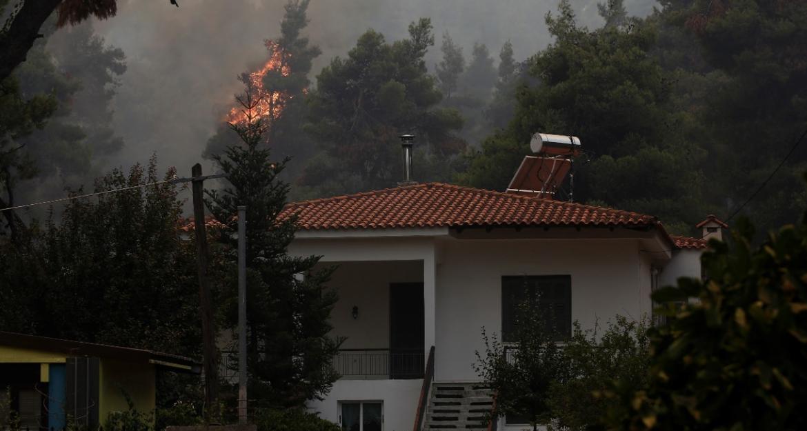 Χαρδαλιάς: Σε ύφεση η πυρκαγιά στην Σταμάτα - Προσήχθη ένας μελισσοκόμος