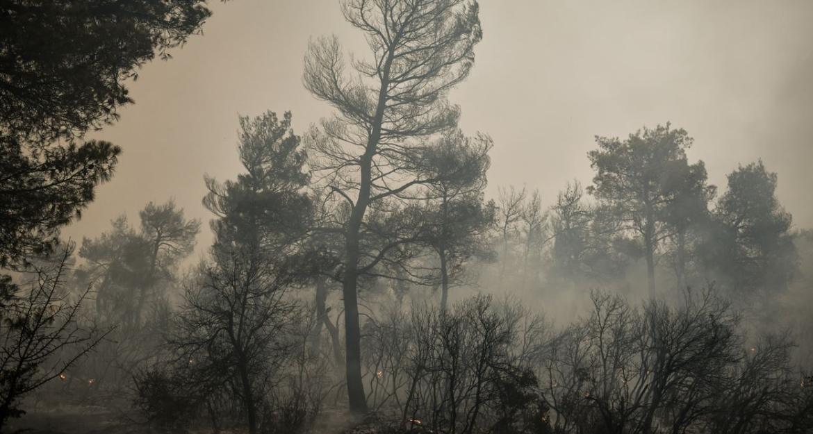 Βίλια: Στο όρος Πατέρας, προς το Πεδίο Βολής Μεγάρων, το μεγάλο μέτωπο - Δεν κινδυνεύουν οικισμοί