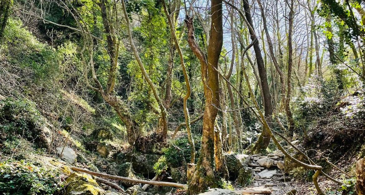 Ας ξανασυστηθούμε με τον Βόλο - Οι τέσσερις πυλώνες του #VolosPelion