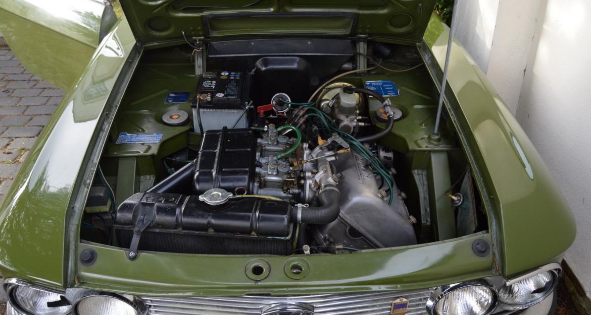 Ώριμη Ιταλίδα αναζητά γαμπρό (pics)