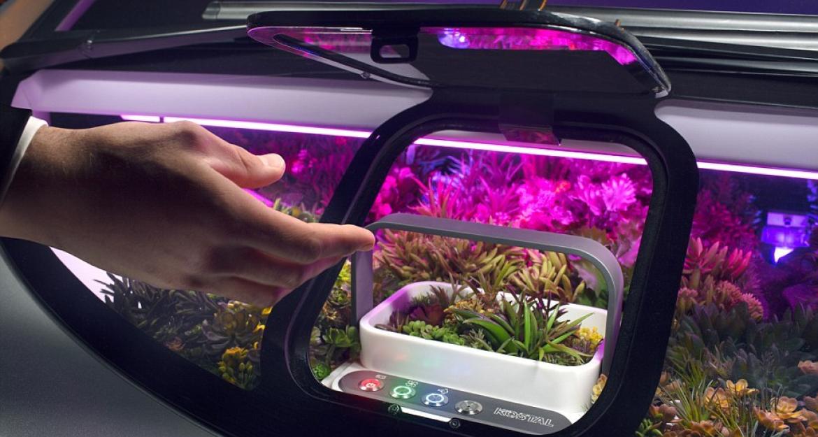 Το πρώτο αυτοκίνητο με το δικό του κήπο (vid+pics)