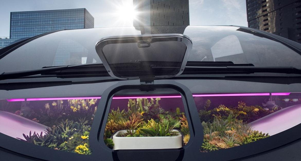 Το πρώτο αυτοκίνητο με το δικό του κήπο (vid+pics)