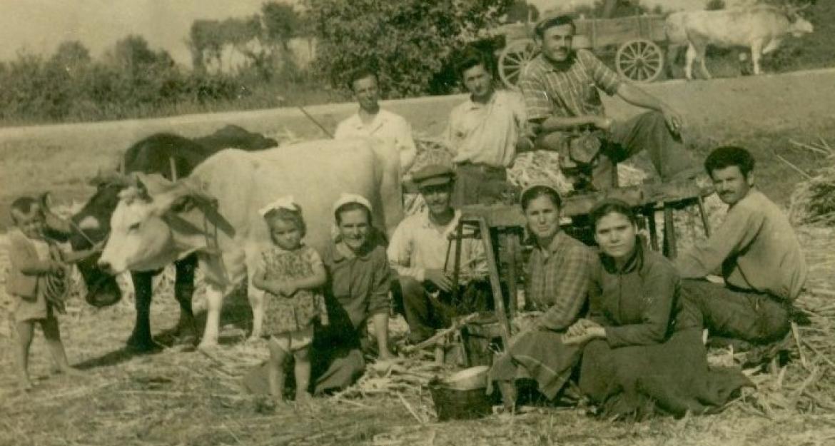 To ζαχαροκάλαμο ξαναζωντανεύει με... άρωμα γυναίκας