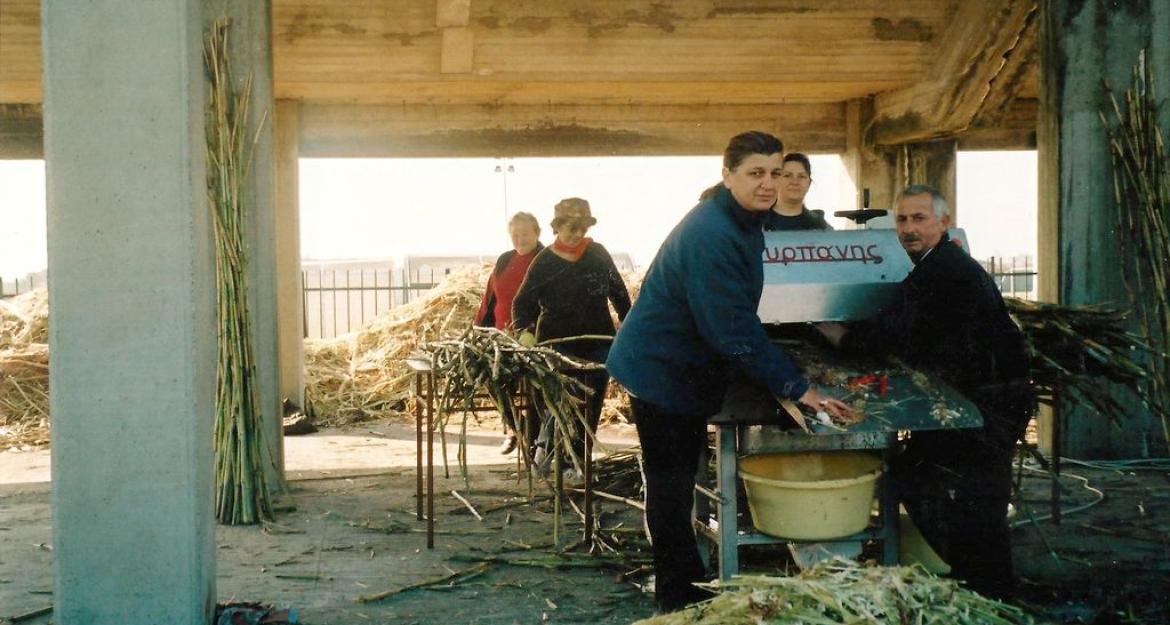 To ζαχαροκάλαμο ξαναζωντανεύει με... άρωμα γυναίκας