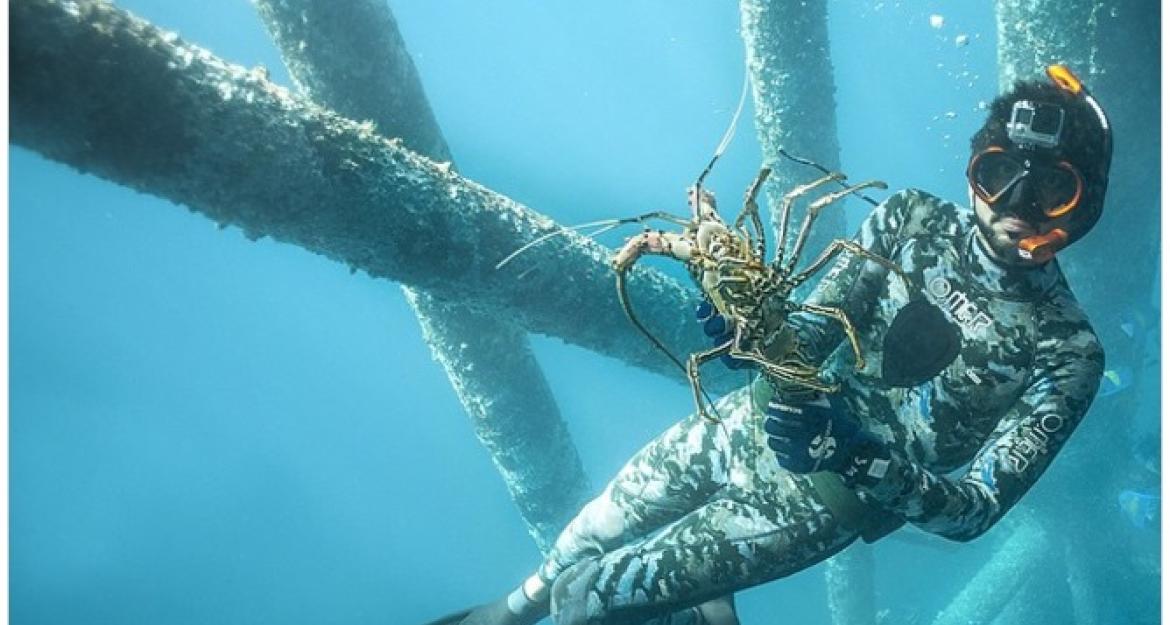 Έτσι ζει ο πρίγκιπας του Ντουμπάι (pics)