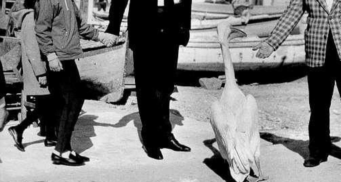 Ο Κωνσταντίνος Μητσοτάκης πέρασε στην ιστορία (pics)