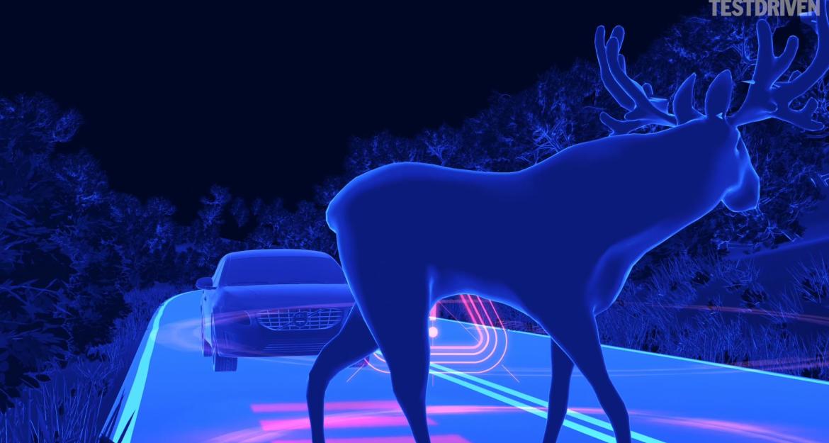 H Volvo αποτελεί πρότυπο για τους φιλόζωους