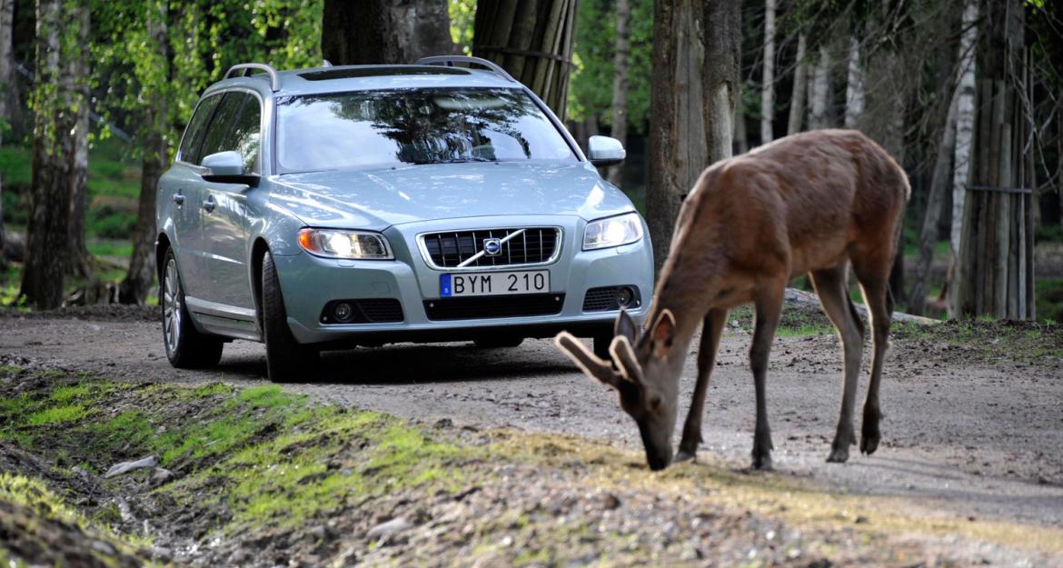 H Volvo αποτελεί πρότυπο για τους φιλόζωους