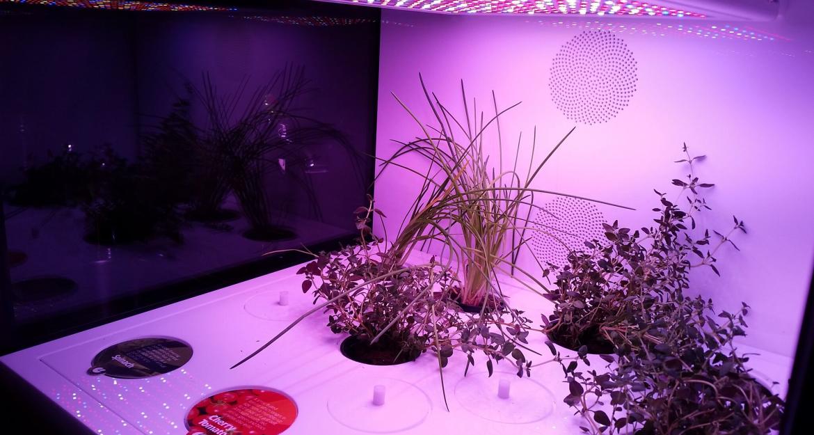 CityCrop: Μια ελληνική διάκριση στην Eurovision των Startups (pics)