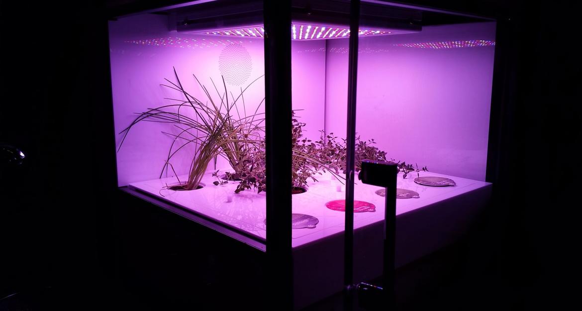 CityCrop: Μια ελληνική διάκριση στην Eurovision των Startups (pics)