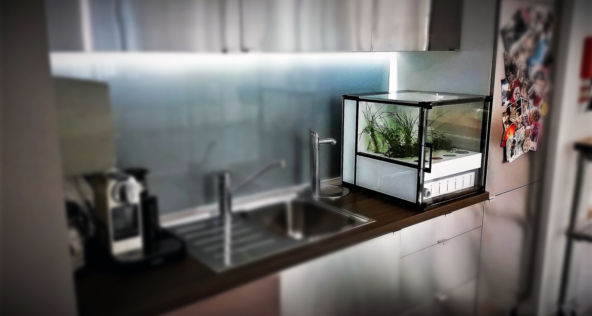 CityCrop: Μια ελληνική διάκριση στην Eurovision των Startups (pics)