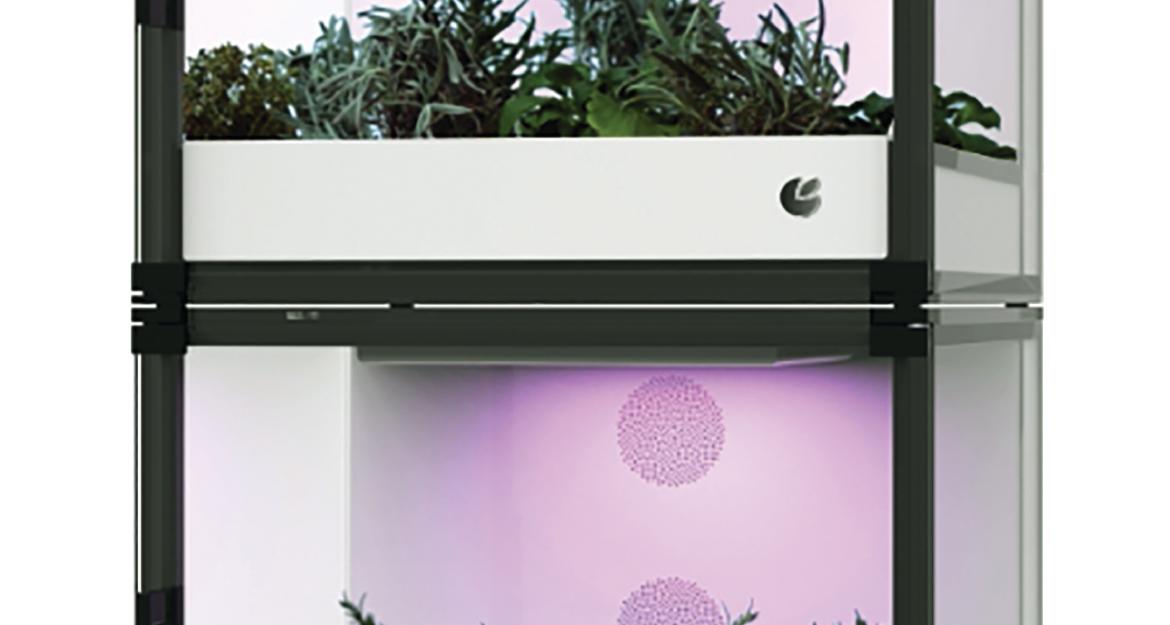 CityCrop: Μια ελληνική διάκριση στην Eurovision των Startups (pics)