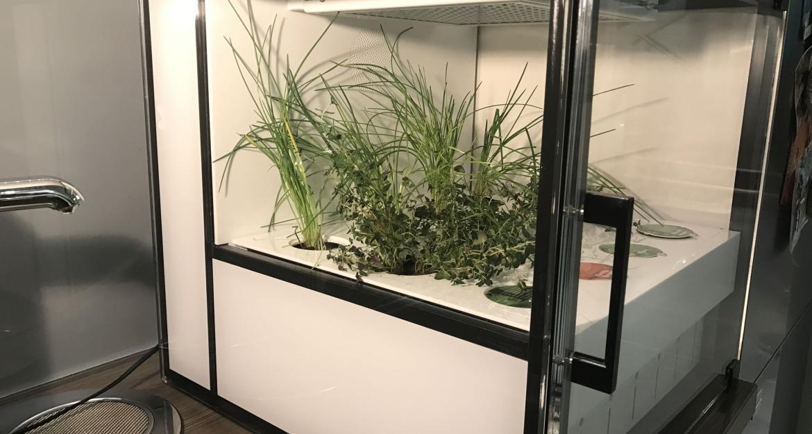 CityCrop: Μια ελληνική διάκριση στην Eurovision των Startups (pics)