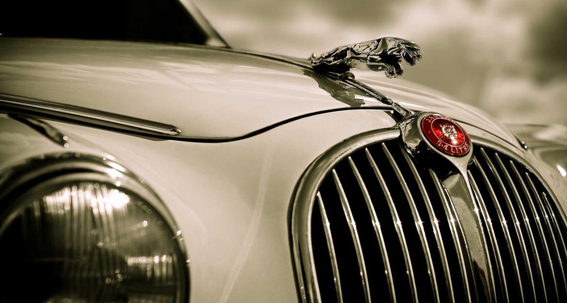 Πώς να πιάσετε δουλειά στη Jaguar (vid)