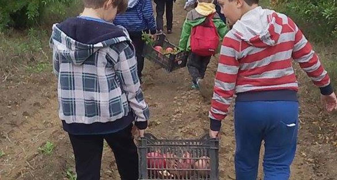 Υιοθετήστε μια ροδιά και γίνετε καλλιεργητής από τον καναπέ σας (vid)